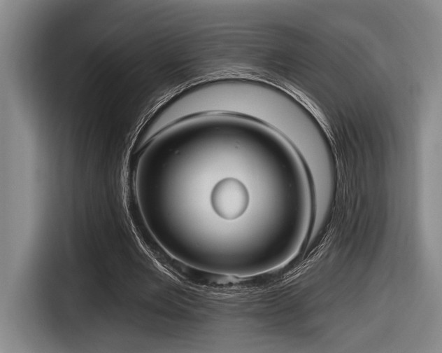 X0000116630485200912111220