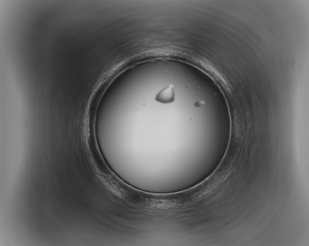 X0000116630486200912111220