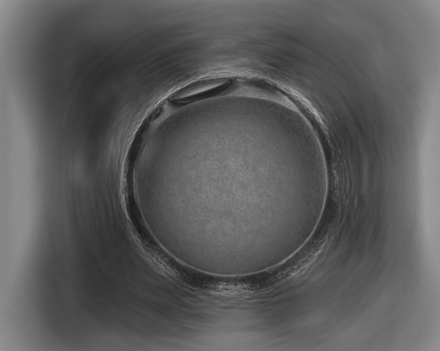 X0000116630487200912111220