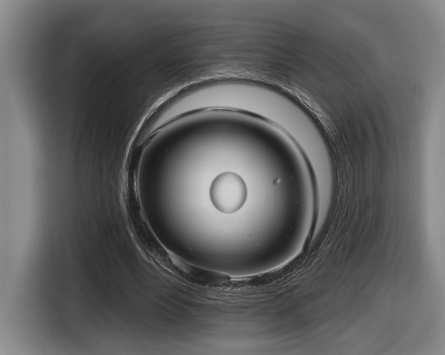 X0000116630488200912111220