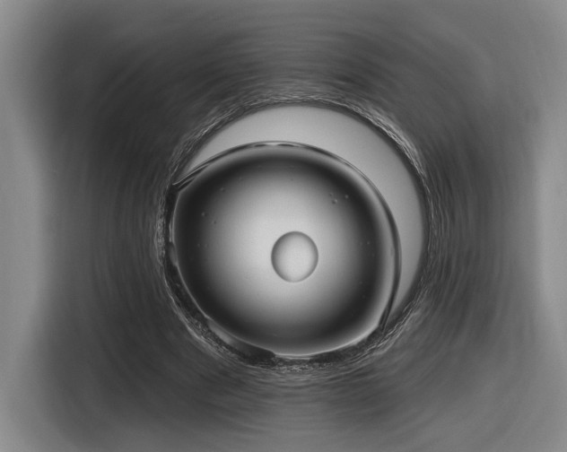 X0000116630489200912111220