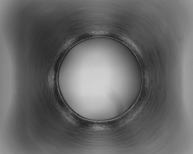 X0000116630490200912111220