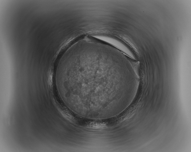 X0000116630491200912111220