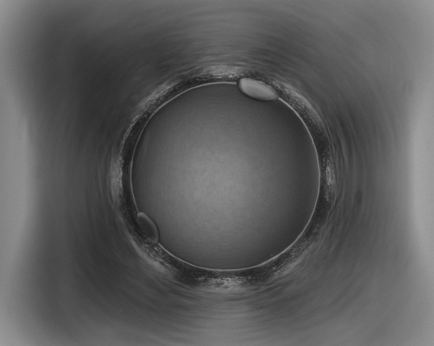 X0000116630492200912111220