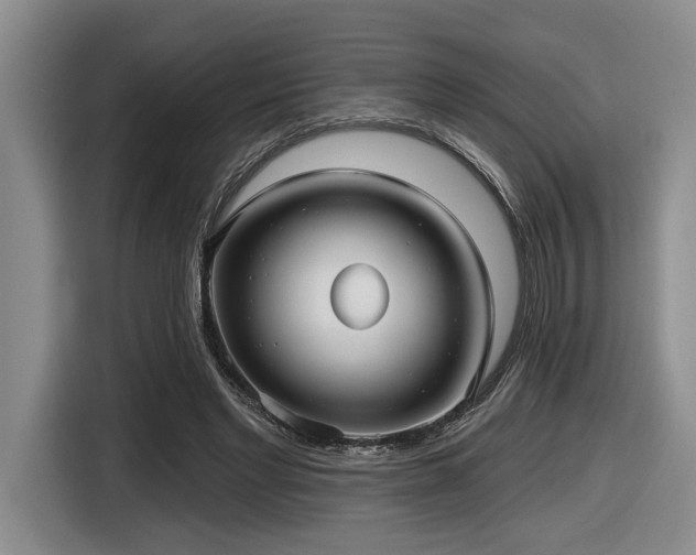 X0000116630493200912111220