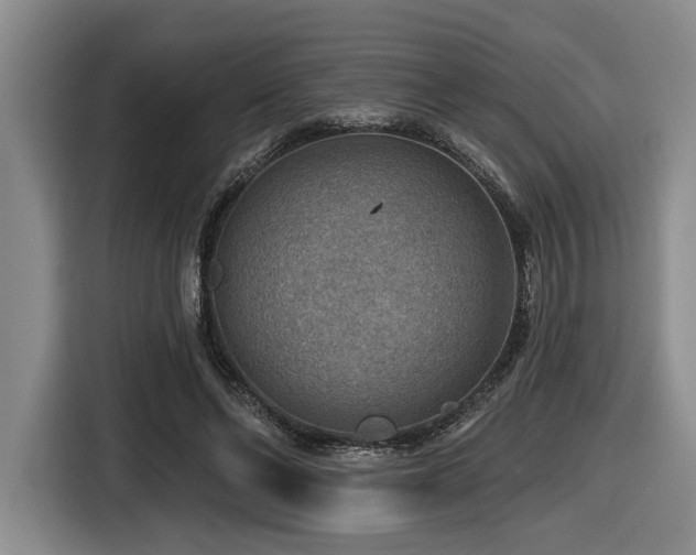 X0000116630494200912111220