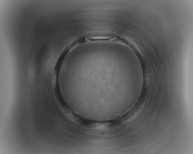 X0000116630495200912111220