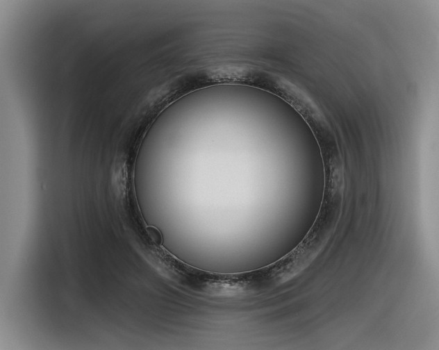 X0000116630498200912111220