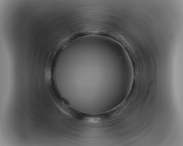 X0000116630500200912111220