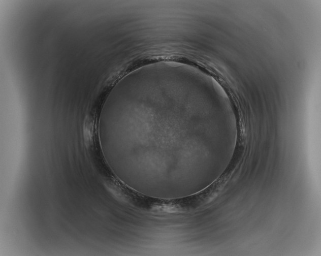 X0000116630503200912111219