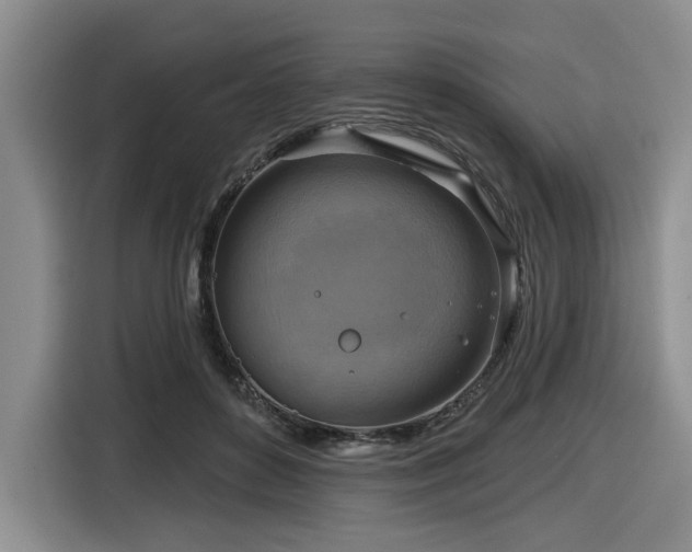 X0000116630504200912111219