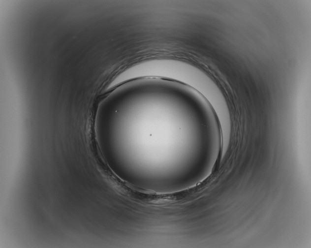 X0000116630505200912111219