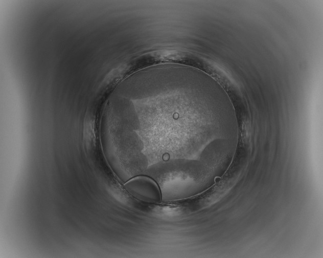 X0000116630506200912111219