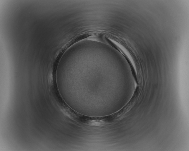 X0000116630508200912111219