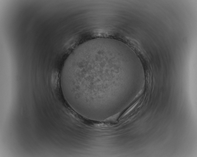 X0000116630511200912111219