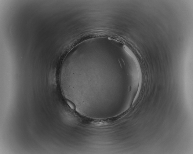 X0000116630512200912111219