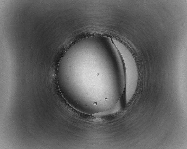 X0000116630513200912111219