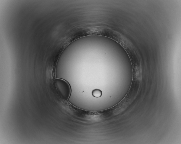 X0000116630514200912111219