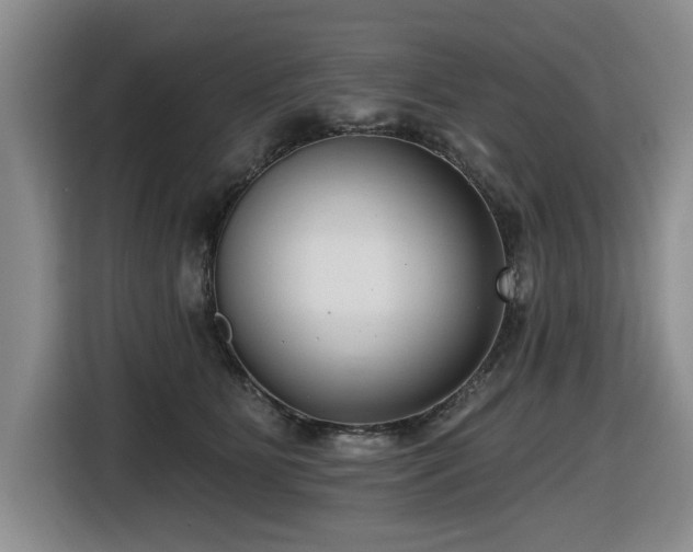 X0000116630515200912111219