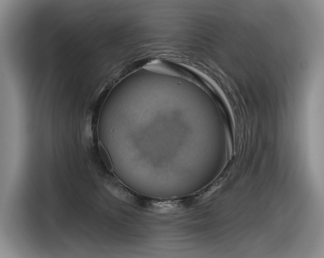 X0000116630516200912111219