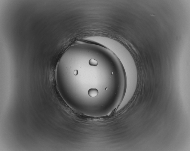 X0000116630517200912111219