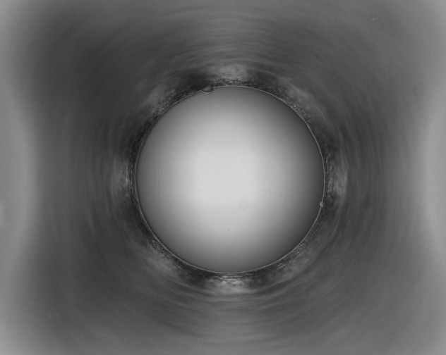 X0000116630518200912111219