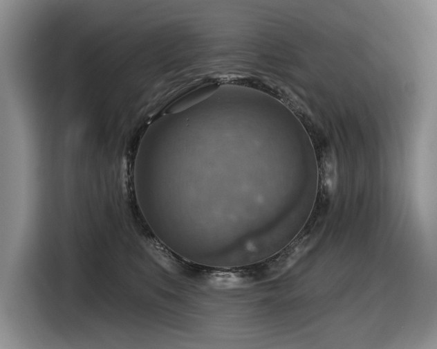 X0000116630519200912111219