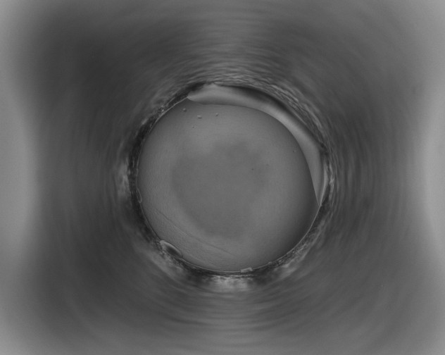 X0000116630520200912111219