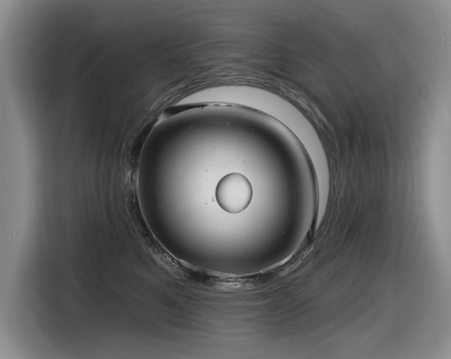 X0000116630521200912111219