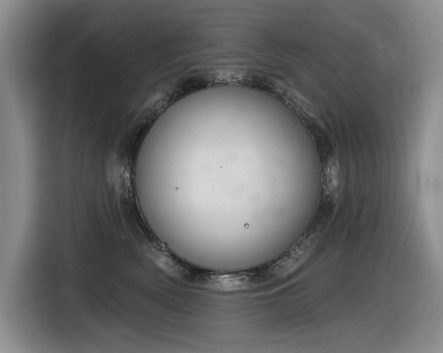 X0000116630522200912111219