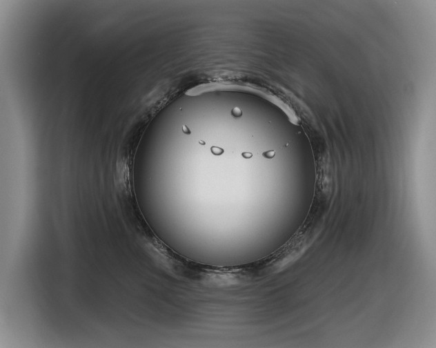 X0000116630523200912111219