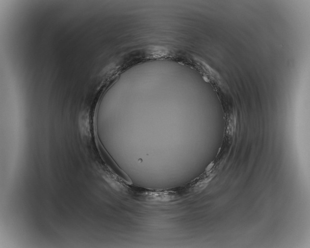 X0000116630524200912111219