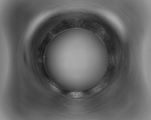 X0000116630526200912111219