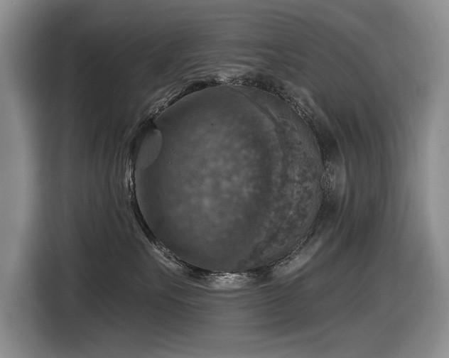 X0000116630527200912111219