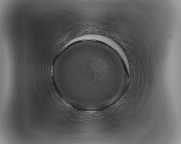 X0000116630528200912111219