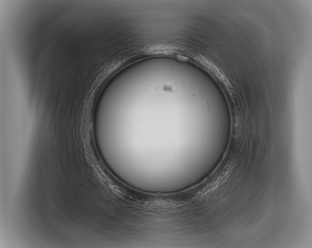 X0000116630529200912111219