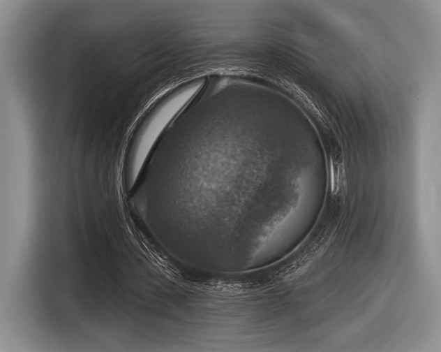 X0000116630531200912111219