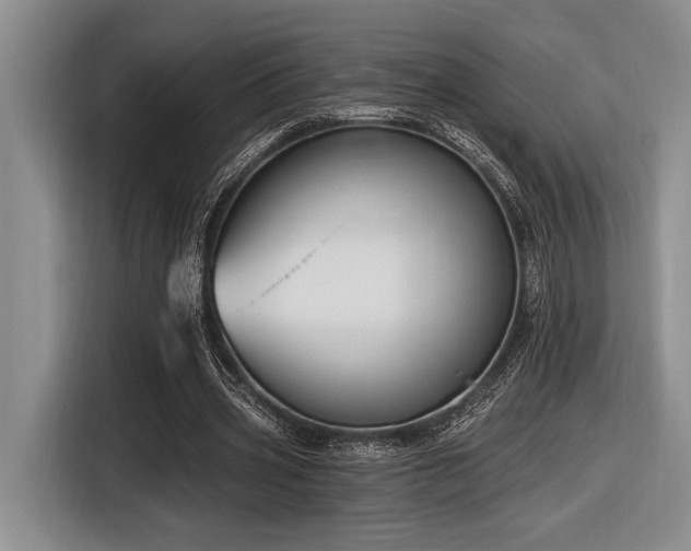 X0000116630533200912111219