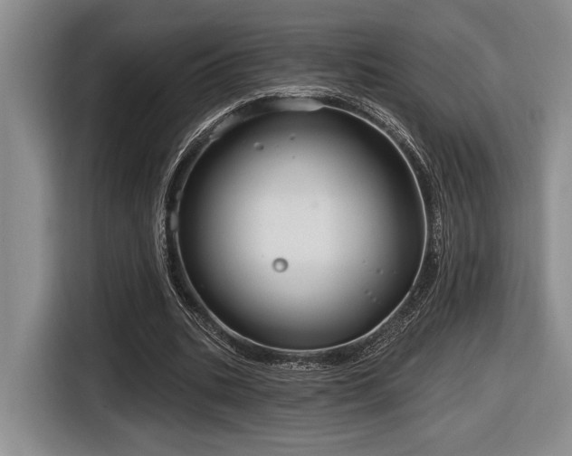 X0000116630535200912111219