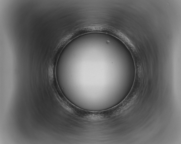 X0000116630537200912111219