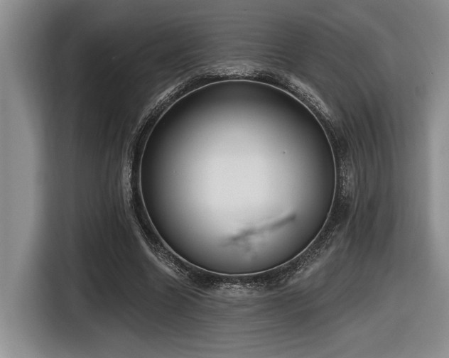 X0000116630538200912111219