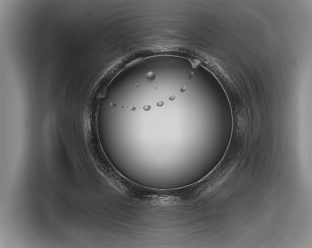 X0000116630539200912111219