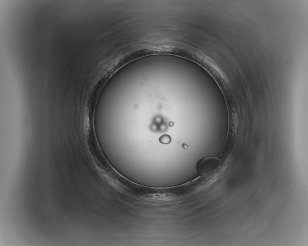 X0000116630541200912111219