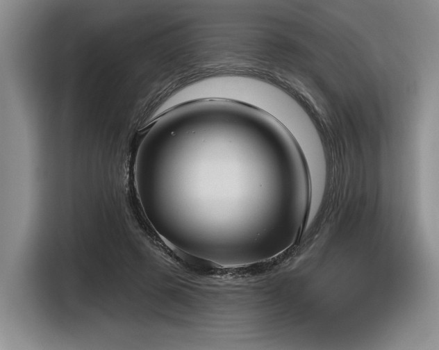 X0000116630545200912111219