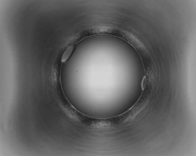 X0000116630546200912111219