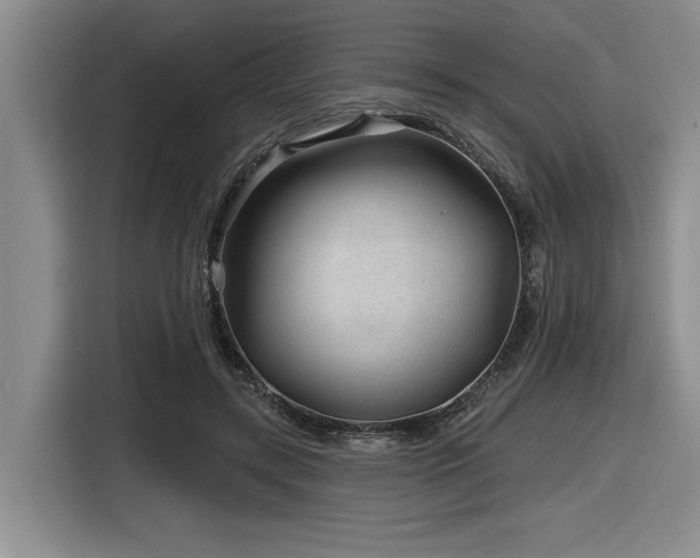 X0000116630547200912111219