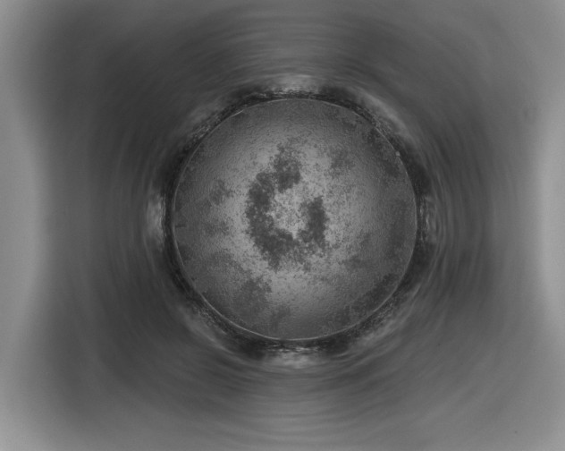 X0000116630550200912111219