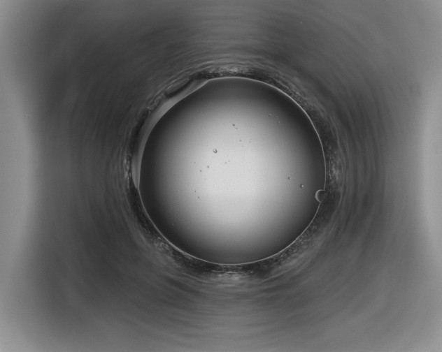 X0000116630551200912111219