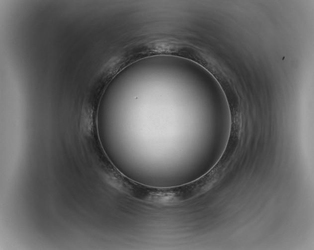 X0000116630554200912111219