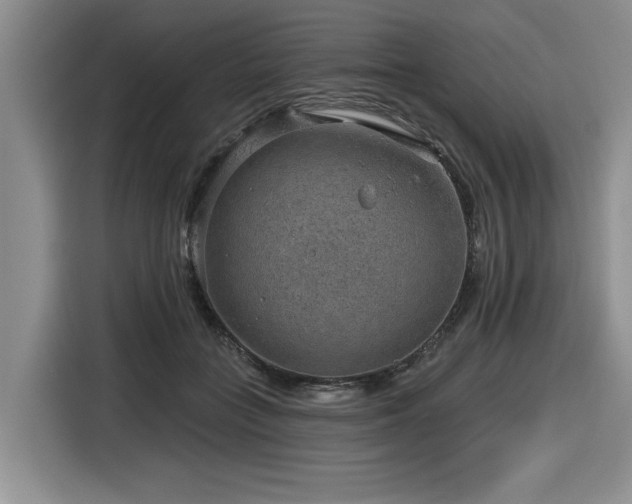 X0000116630555200912111219